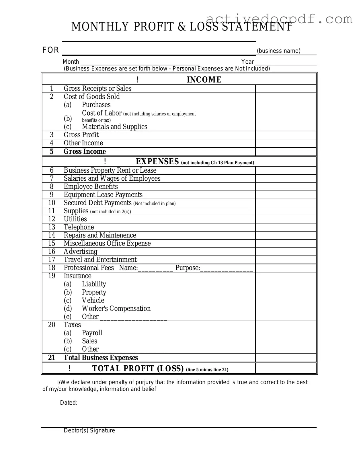 Free Profit And Loss PDF Form
