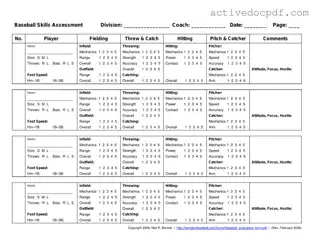 Free Baseball Assessment PDF Form