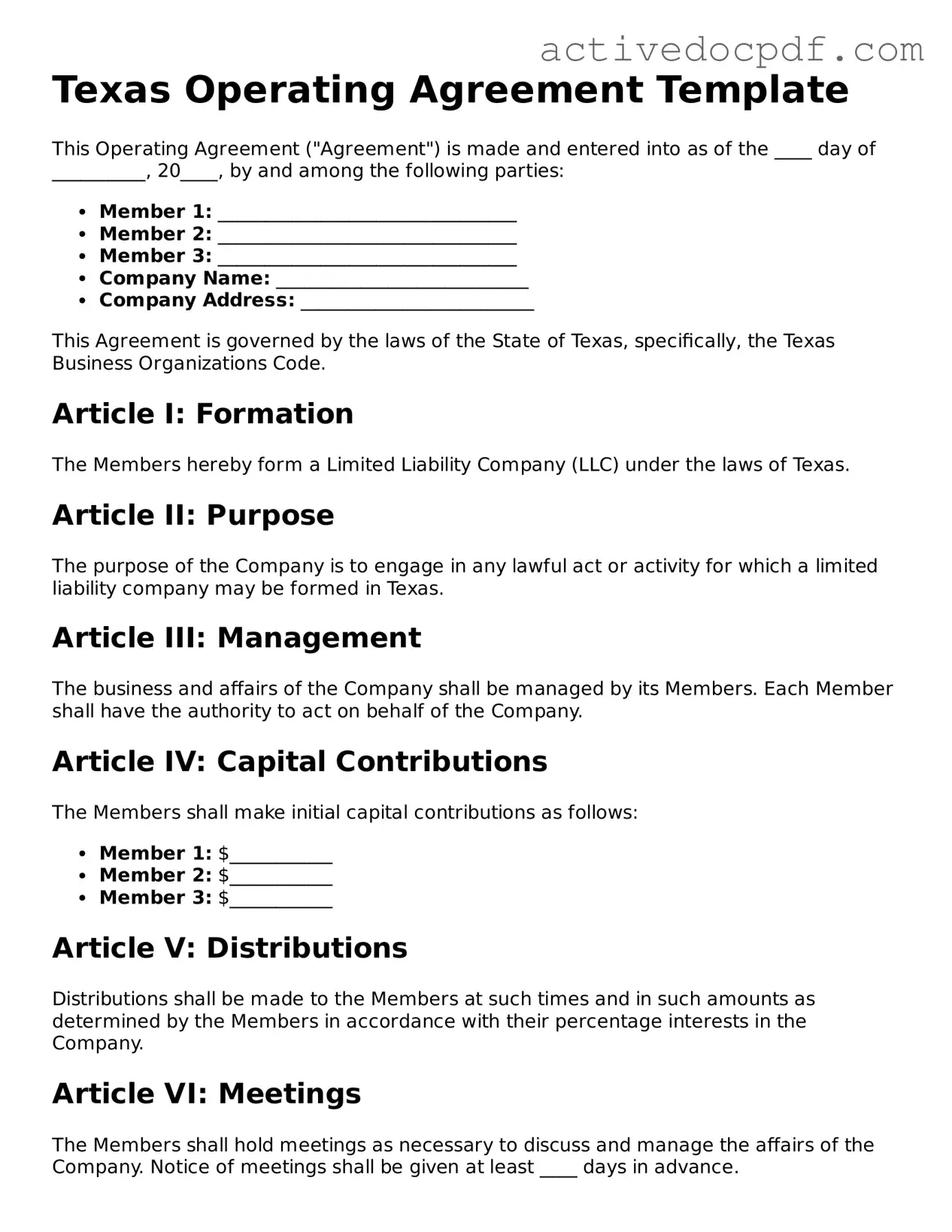 Legal Operating Agreement Document for Texas State
